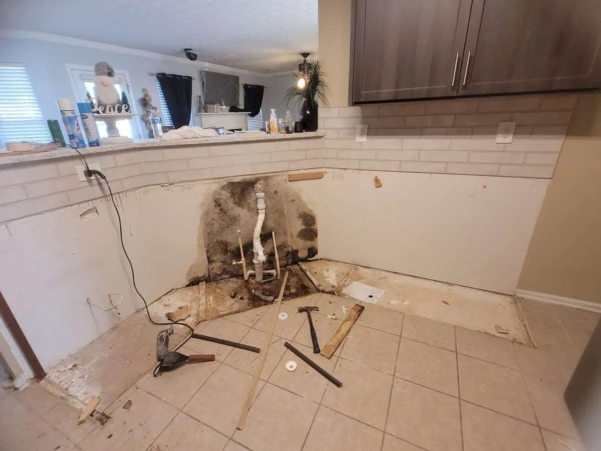 Mold behind wall with plumbing during Flood Damage Cleanup in Elk Grove Village