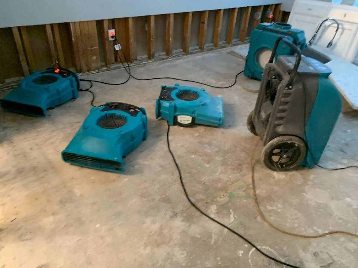Water Damage Restoration services in Elk Grove Village, IL